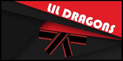 Lil Dragons Martial Arts Classes Lower Earley