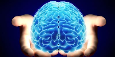 Meeting on Care of Alzheimer’s and Dementia Patients