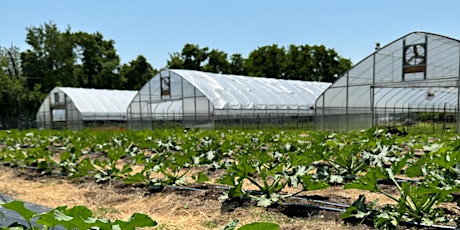 Hauptbild für From the Ground Up: Produce Safety Planning for Beginning Growers