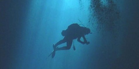 The Incredible Underwater World of Florida's Spring Caves primary image