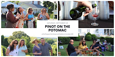 Imagem principal do evento Pinot on the Potomac