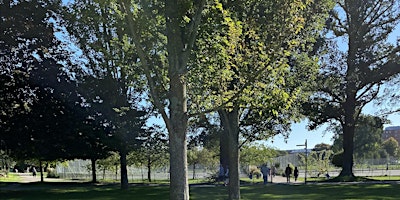 General Tree Walk with Alister Peters  primärbild