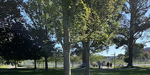 General Tree Walk with Alister Peters primary image