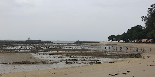 Sisters' Islands Marine Park Intertidal Guided Walk - 20 Jan 2019 