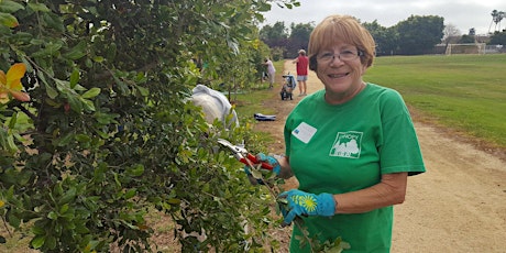 Canopy's Community Forestry School: Structural Pruning Basics primary image