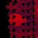 Organizer profile image