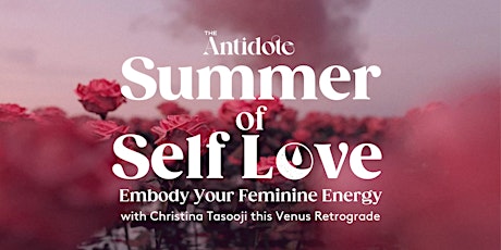 The Antidote: Summer of Self Love Transformational Group Program primary image