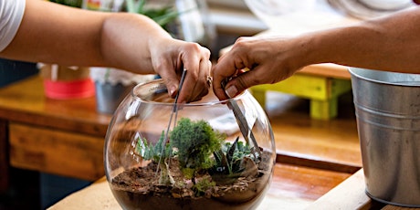 Tequila and Terrarium-Making - Art Class by Classpop!™