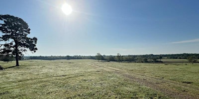 McCurtain County Solar Eclipse 2024-Country Views primary image