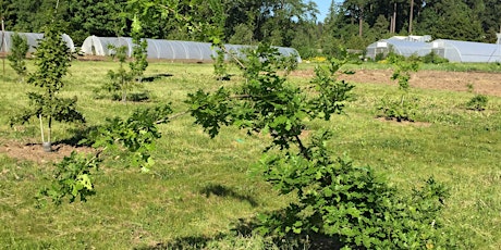 UBC Experimental Farm 2019 TABC Truffle Festival primary image