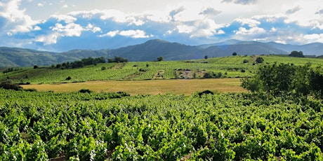 Hauptbild für Galician Wine Discovery at La Bodega by Ibérica