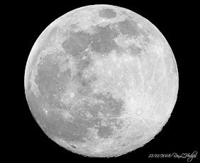 FULL MOON EVENT (JUNE) primary image