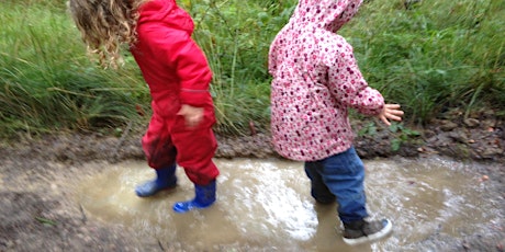Toddler Forest Play primary image