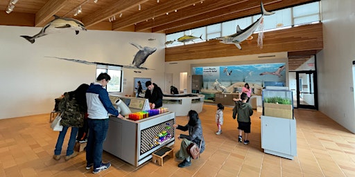 Imagem principal de Walk-In Touch Tank