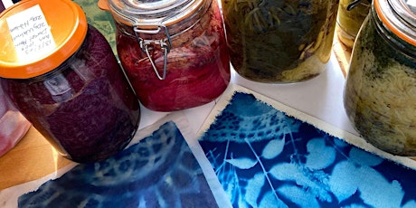 Solar Dyeing & Cyanotype  primärbild