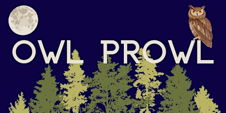 Imagen principal de Owl Prowl at Pittock Conservation Area