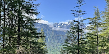 Hauptbild für SAS Higher Ground Hike - Heybrook Lookout Hwy 2