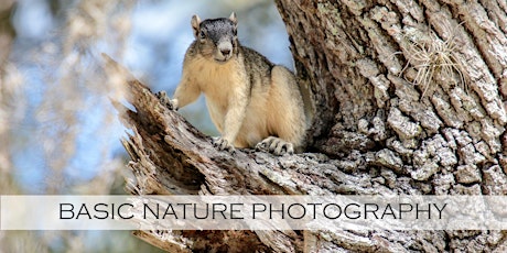 Basic Nature Photography primary image