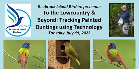 To the Lowcountry and Beyond: Tracking Painted Buntings using Technology primary image