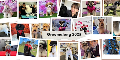 Wellington Groomalong 2023 primary image