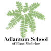 Logotipo de The Adiantum School of Plant Medicine