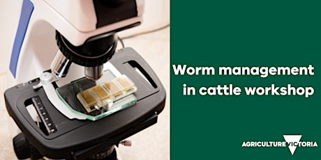 Image principale de Identification and management of worms in cattle workshop YARCK