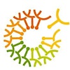 Logotipo de COTA NT