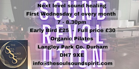 Imagem principal do evento Sound Revolution - Next Level Sound Healing Langley Park