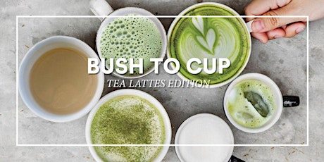 From bush to cup: Tea Latte primary image