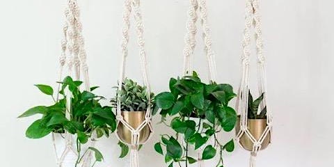 Primaire afbeelding van Cultural Creations-Macramé Plant hangers craft with Izabella