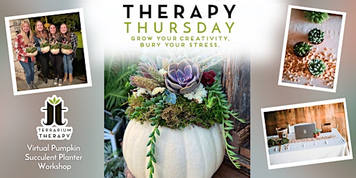 Imagen principal de Virtual Therapy Thursday - Pumpkin Succulent Planter Workshop