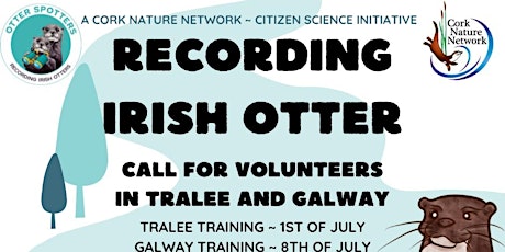 Recording Irish Otters - Otter Spotting in Tralee primary image