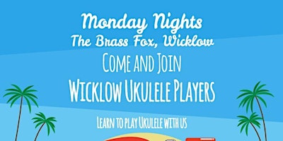 Primaire afbeelding van Wicklow Ukulele lessons