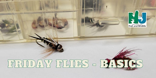 Friday Fly Tying - The Basics (Eight Session Class) primary image
