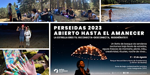 Perseidas 2023. Abierto hasta el Amanecer. primary image