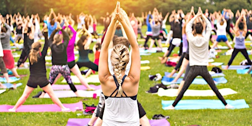 Imagem principal do evento Transcend Yoga & Wellness Festival