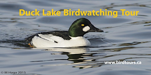 Imagem principal do evento Duck Lake and Nisbet Forest Birdwatching Tour