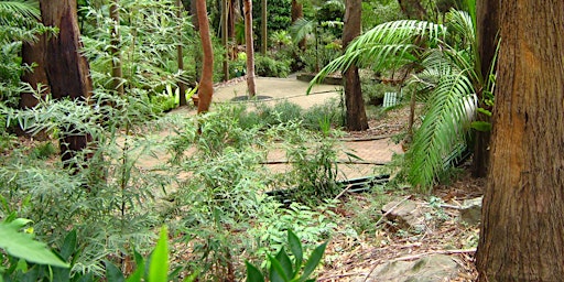 Image principale de Scamper through the Jungle, Thursday 16 April