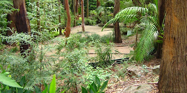 Image principale de Scamper through the Jungle, Thursday 16 April