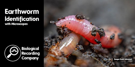 Hauptbild für Earthworm Identification