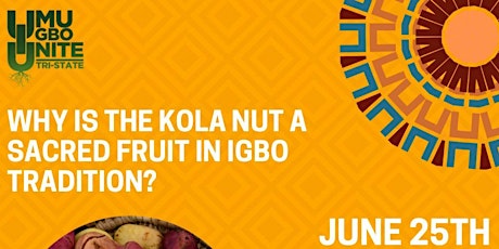 Image principale de Why Is The Kola Nut A Sacred Fruit In Igbo Tradition?