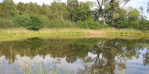 Immagine principale di 'OpStap' excursie over de historie van het Boetelerveld 