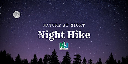 Imagen principal de Canceled - Night Hike
