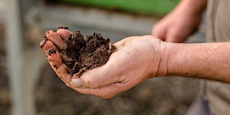 Primaire afbeelding van Soil Biology Workshop