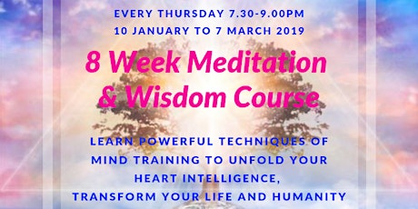 8 Week Meditation & Wisdom Course primary image