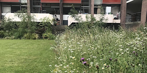 Gardening and Wild Spaces for Butterflies Workshop - Camden primary image