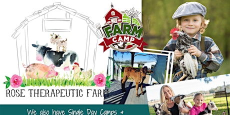 Imagem principal de Summer Camp - Farm Life at ROSE Therapeutic Farm