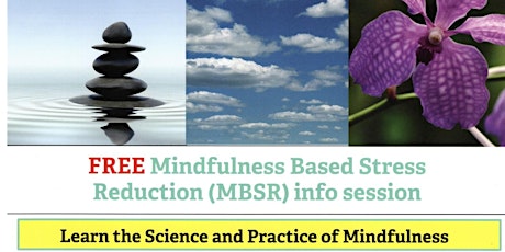 Mindfulness Based Stress Reduction (MBSR) information session