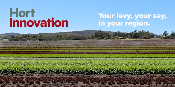 Hort Innovation 2019 Strategy Consultation Workshops - Lindenow VIC 