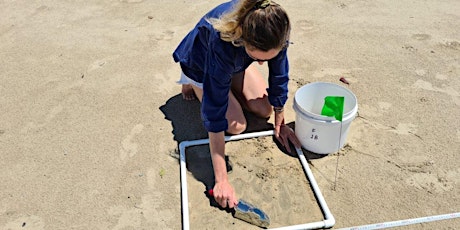 Bondi Micro beach Clean-up primary image